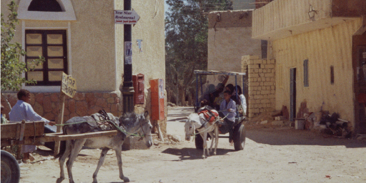 Siwa-Berbers-gesluierd-ezel-karEgypt-oase-lemen-stad