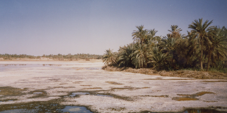 Az-Zeithlen-salt-lake-zout-meer-Siwa-Egypte
