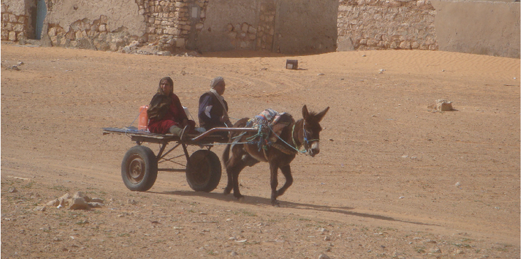 Ksar-Ghilane-ezel-wagen-kar-Sahara-woestijn-oase-Tunesië