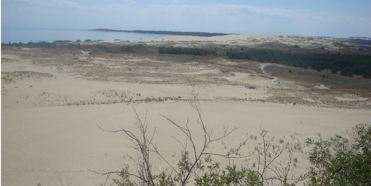 Curionion-Spit-Nationaal-Park-duinen-strand-Litouwen