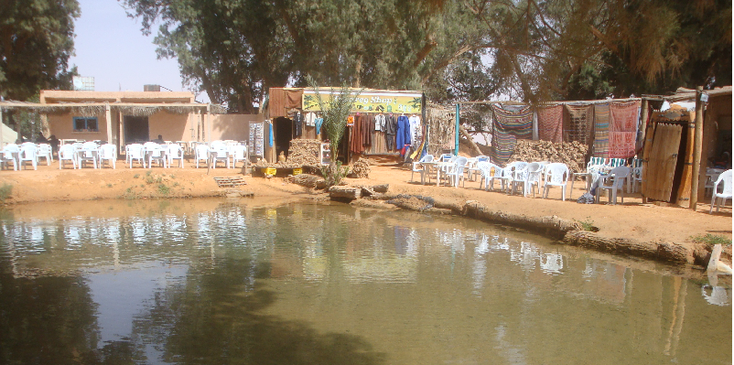 Ksar-Ghilane-vijver-terras-oase-Tunesië