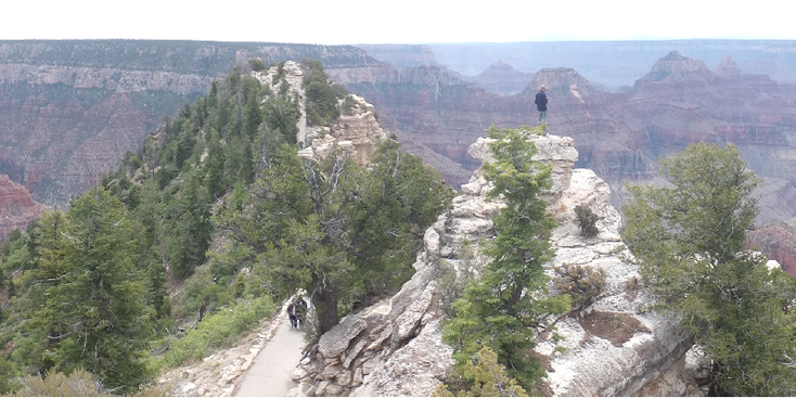 Grand-Canyon-North-Rim-vallei-kloof-Verenigde-Staten
