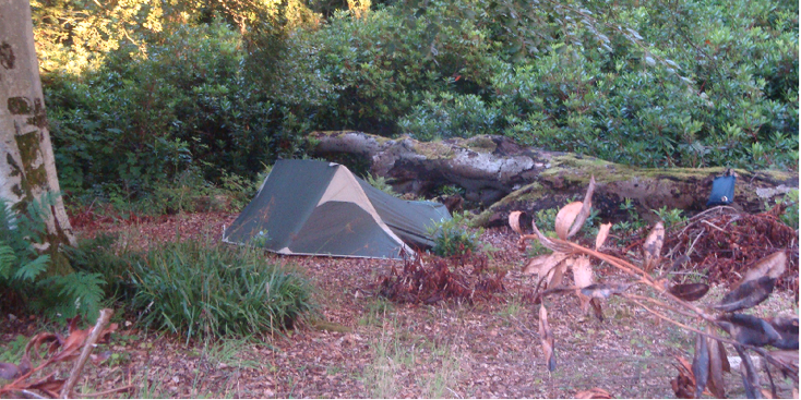 Culzean-wildkamperen-tent-Schotland