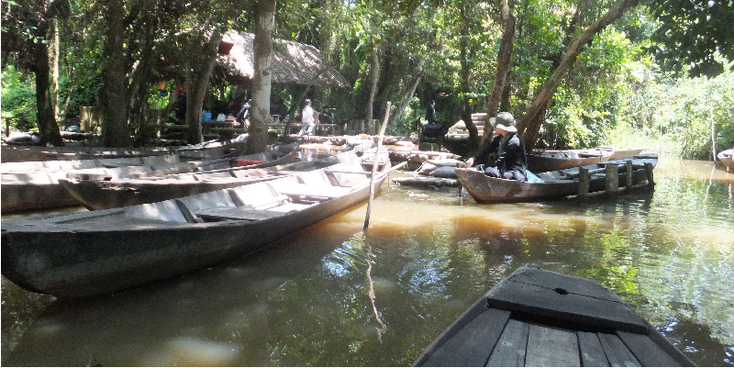 Rung-Tram-hoofdkwartier-Vietcong-verborgen-geheim-kano-kanalen-Vietnam-Mekong-Delta
