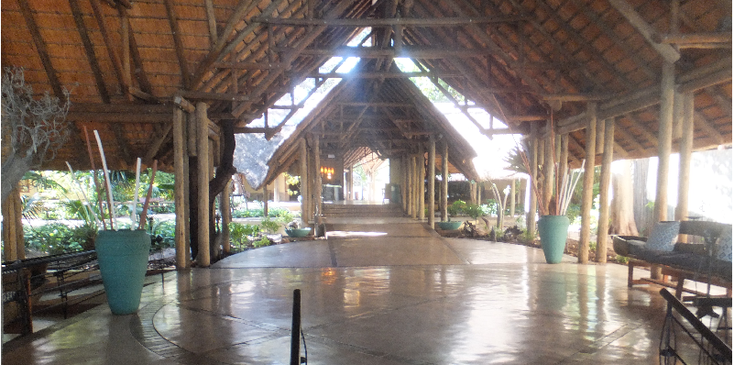 Chobe-lodge-safari-Kasane-riverfront-nationaal-park-natuurpark-Botswana