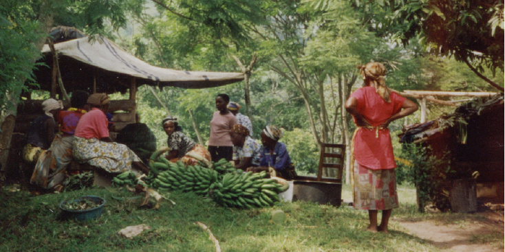 Kibale-National-park-Fruit-Lunch-Uganda