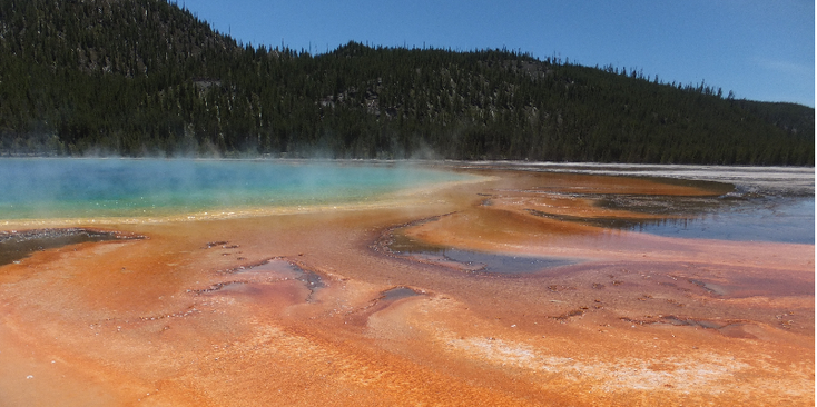 Yellowstone-natuurpark-heetwaterbron-geiser-gekleurd-meer-nationaal-park-beer-Verenigde-Staten