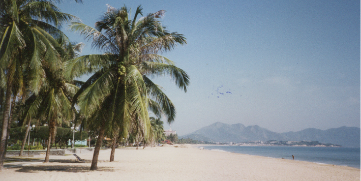Na-Thrang-strand-palmboom-zee-zon-Vietnam