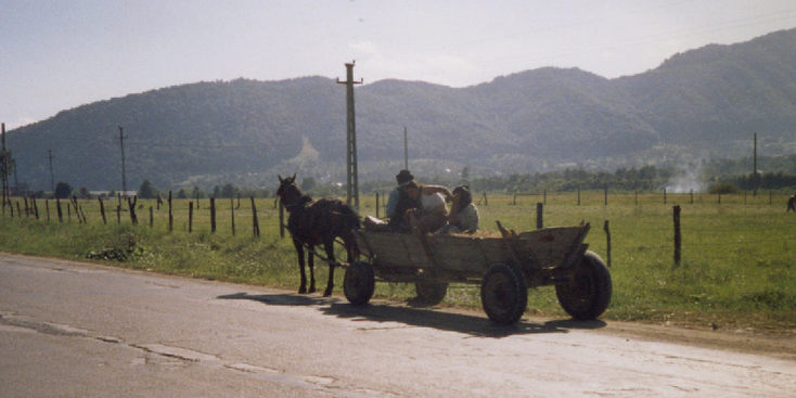 Brasov-paard-en-wagen-Transsylvanië-Roemenië