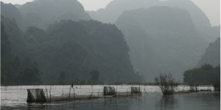 Hang-Giua-grot-vissersnet-Tam-Coc-Vietnam