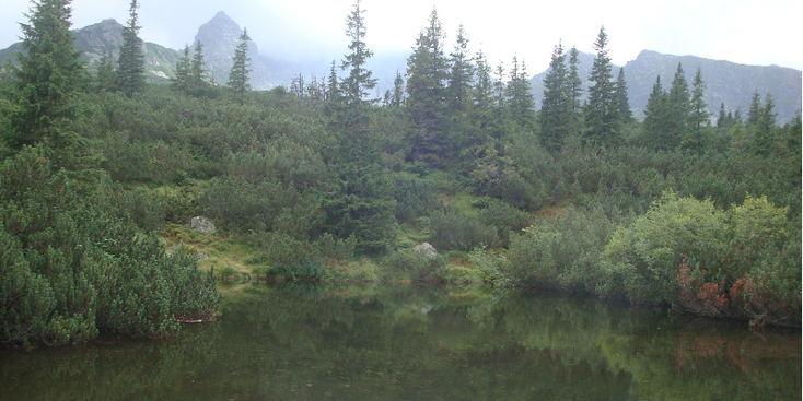 Tatra-Nationaal-Park-Tatras-Polen