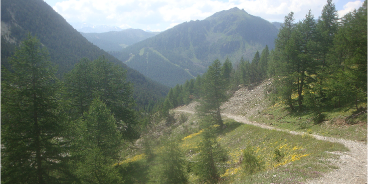 Montgenevre-Chaberton-fort-berg-vesting-linie-grens-Frankrijk-Italië-Alpenweide
