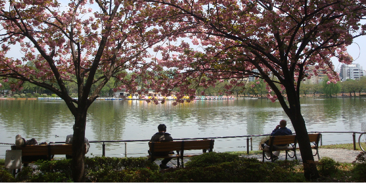 Tokyo-Japan