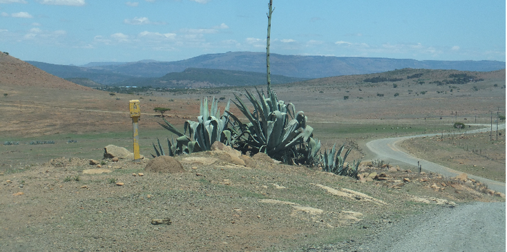 Dundee-Zuid-Afrika