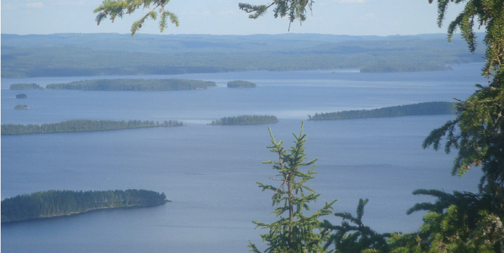 Koli-nationaal-park-Pielinenmeer-meren-eiland-bossen-Finland