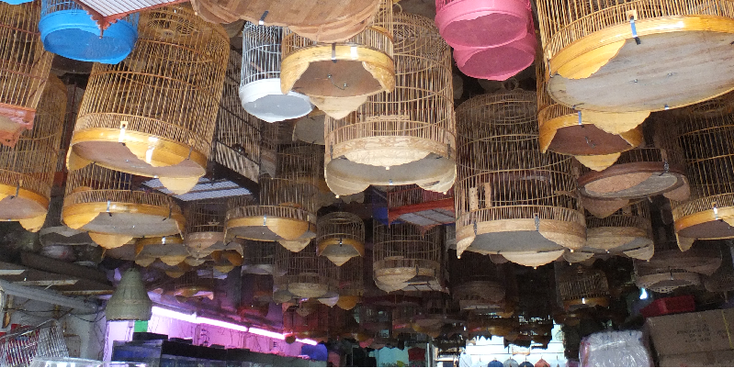Dalat-vogeltjeskooiwinkel-Vietnam