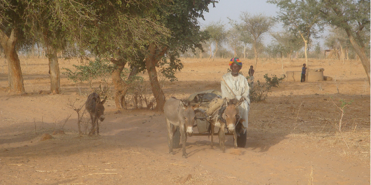 Banani-Dogon-land-Mali-Bandiagara-ezel-kar