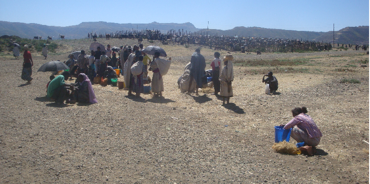 Bahir-Dar-Tana-Ethiopië-markt-dieren
