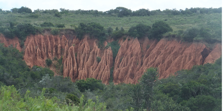 Addo-Ocean-National-Park-South-Africa