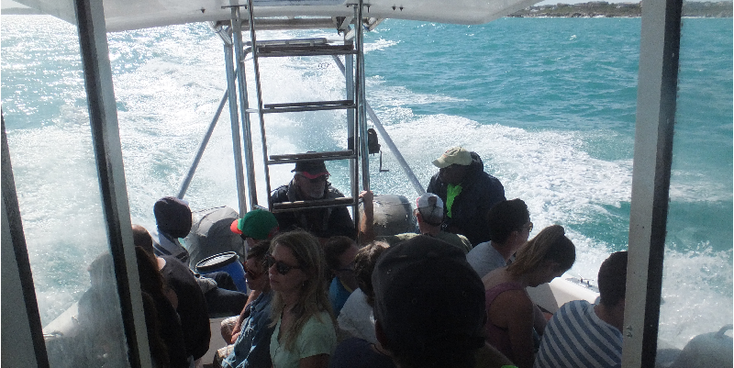 Shark-Cage-Diving-boot-Ventures-Zuid-Afrika-Hermanus