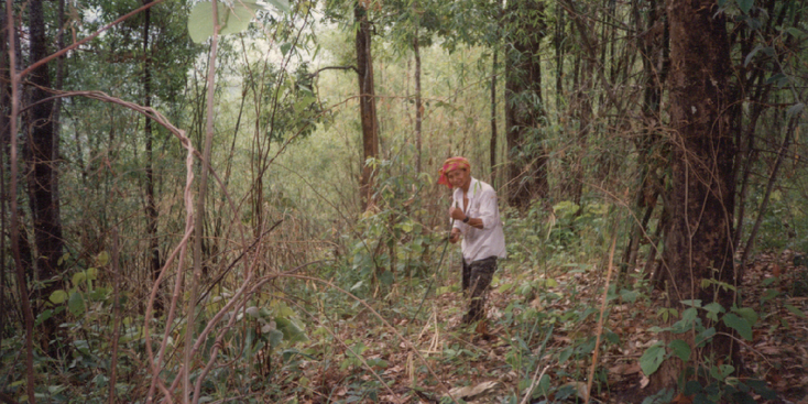 Chang-Mai-tour-jungle-gids-bos-Thailand