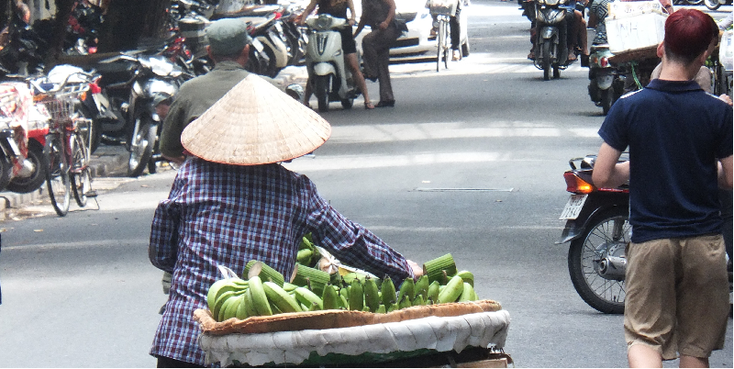 Hanoi-drager-fruit-fiets-scooter-old-quarter-oude-wijk-Vietnam