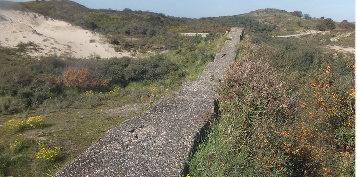 Tankwal-tankmuur-Lentevreugd-Atlantische-muur-Atlantic-Wall-beton-WW2-duinen-Nederland