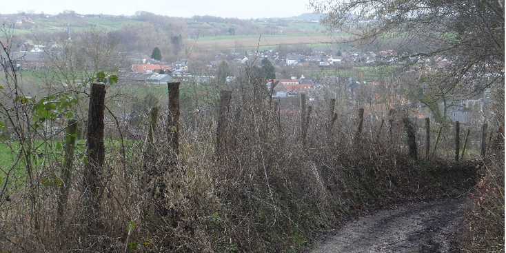 Schweibergh-Mechelen-heuvel-Zuid-Limburg-klompenpad-pad-Nederland