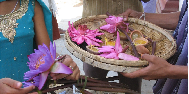 Anuradhapura-Flower-Sri-Lanka