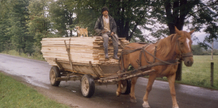 Boekovina-paard-en-wagen-hout-hond-Roemenië