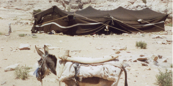 Petra-bedoeïenen-tent-ezel-Jordanië