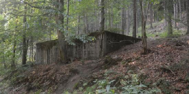 Sierpnica-Riese-Project-Polen-ww2-nazi-barakken-dwangarbeiders-bos