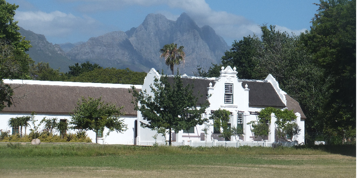 Stellenbosch-kaapkolonie-wijnboerderij-wijngaard-Zuid-Afrika