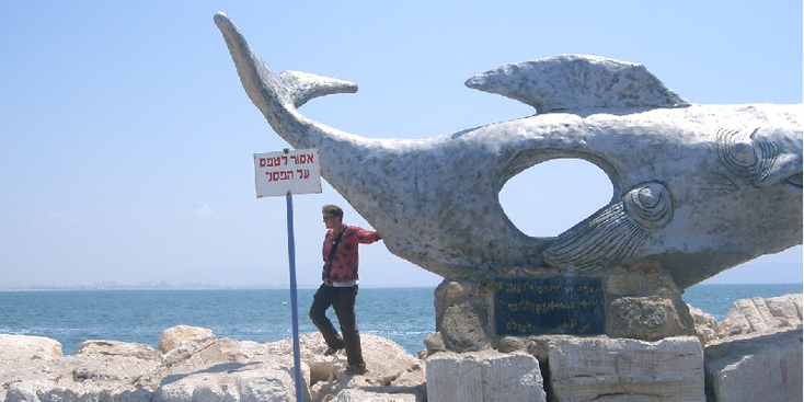 Akko-walvis-Israël