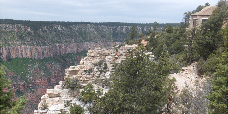 Grand-Canyon-North-Rim-vallei-kloof-Verenigde-Staten