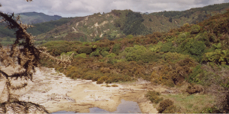 Abel-Tasman-nationaal-park-Nieuw-Zeeland