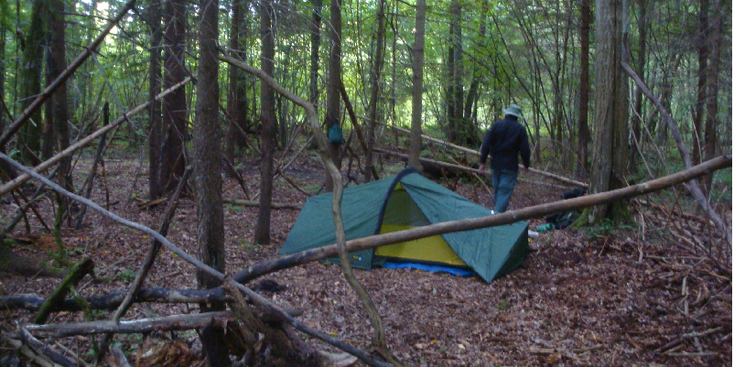Bialowieza-nationaal-park-tent-wild-kamperen-Polen