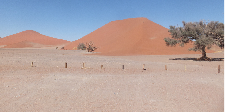 Sossus-Vlei-Death-Dune-49-zandduin-Namibië