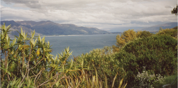 Kaikoura-Christchurch-Nieuw-Zeeland