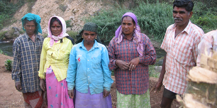 India-thee-plukkers-Munnar