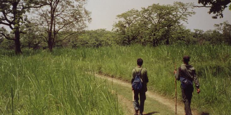 Chitwan-nationaal-park-Nepal-gids
