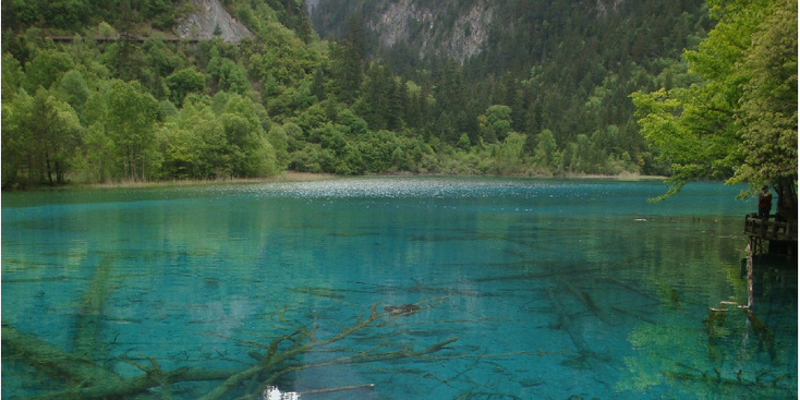 Jiuzhaigou-nationaal-park-vijf-kleuren-vijver-water-bomen-mineralen-helder-groeien-China-bamboe