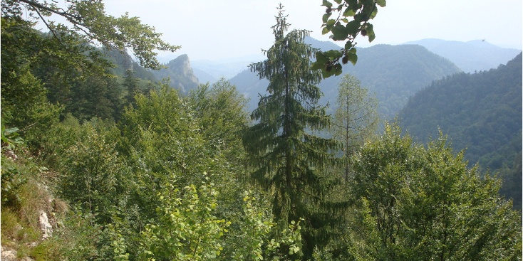 Pieniny-nationaal-park-Dunajec-gorge-vallei-Polen