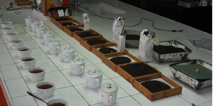 Dambatanne-thee-proeven-fabriek-Haputale-Sri-Lanka