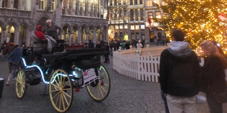 Grote-Markt-Brussel-kerstboom-plein-België