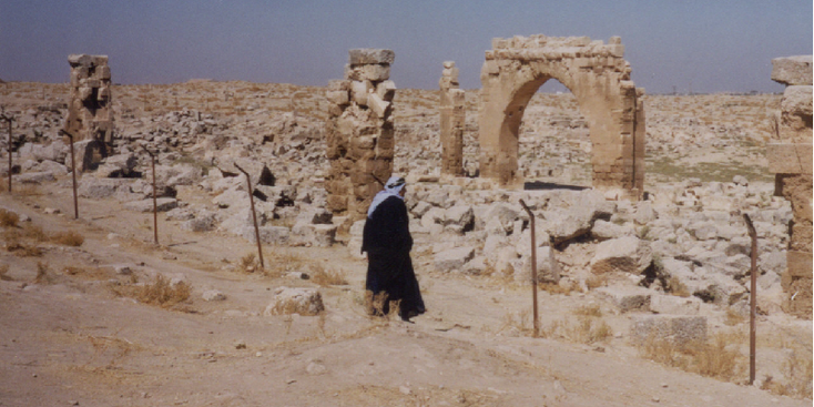Harran-Bijbels-ruïnes-columns-pilaren-Romeins-grens-Syrië-Turkije