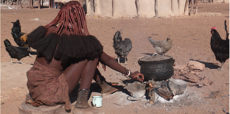 Himba-ketel-kip-dorp-hut-riet-haar-Namibië