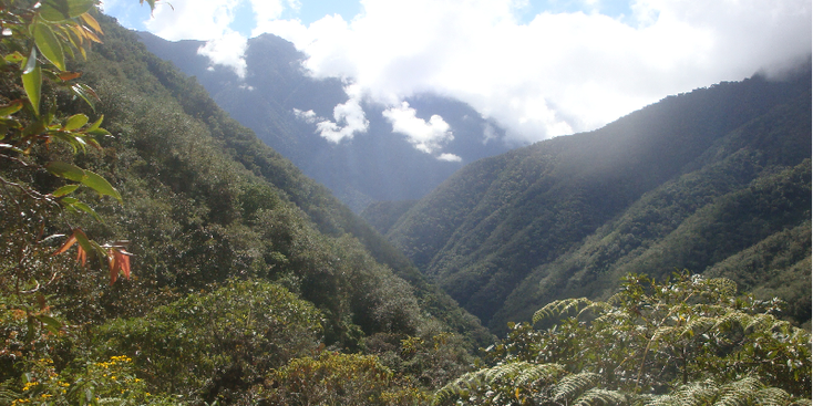 Yungas-National-Park-La-Paz-Villa-Fatima-Cumbre-Hike-Nature-Mountains