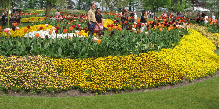 Keukenhof-Lisse-bloemen-tulpen-Nederland