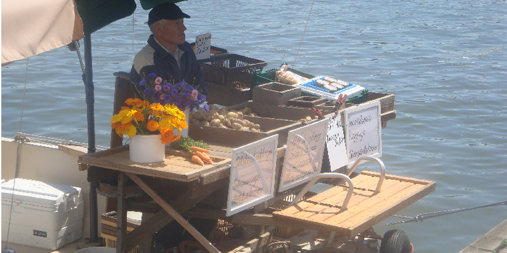 Helsinki-vis-verkopers-boot-haven-Finland